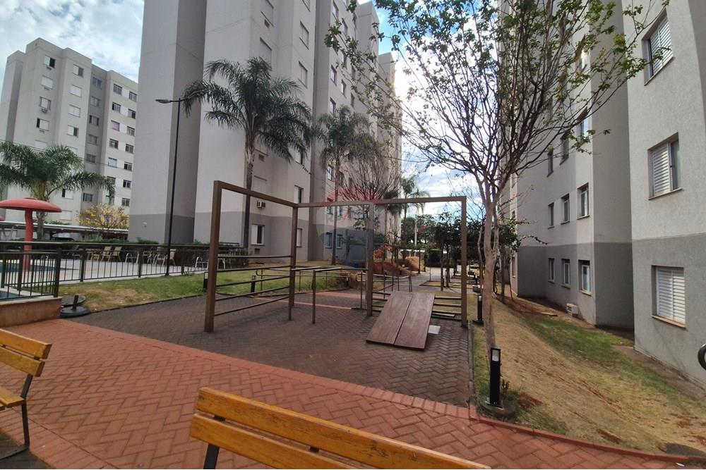 Apartamento - Venda - Ribeirão Preto , São Paulo - 20250829_154415.jpg - 780071081-1