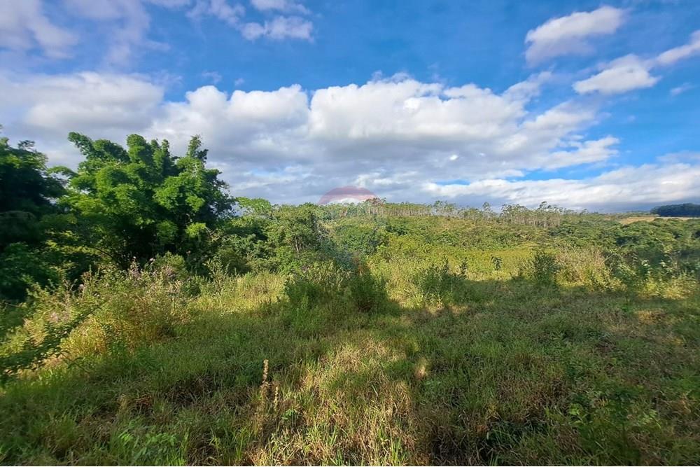 Fazenda - Venda - Cajuru , São Paulo - IMG-20250406-WA0182.jpg - 780171030-57