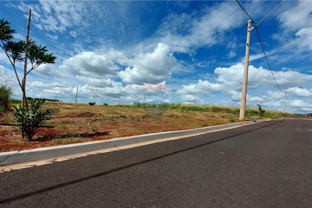 Terreno - Venda - Cravinhos , São Paulo - 7 - 780071037-60