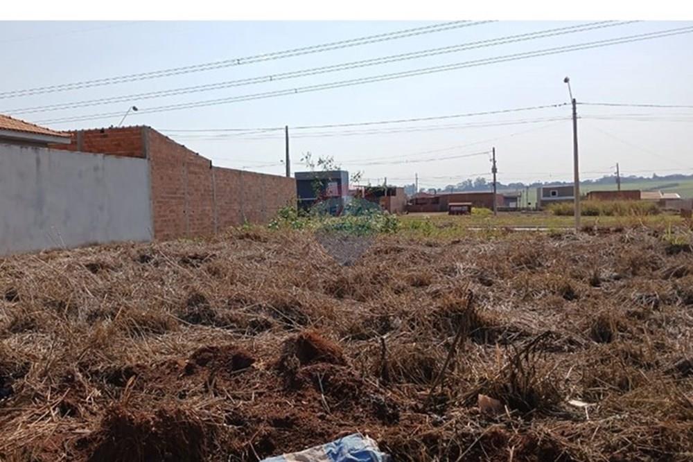 Terreno - Venda - Ribeirão Preto , São Paulo - 10.jpeg - 780171003-243