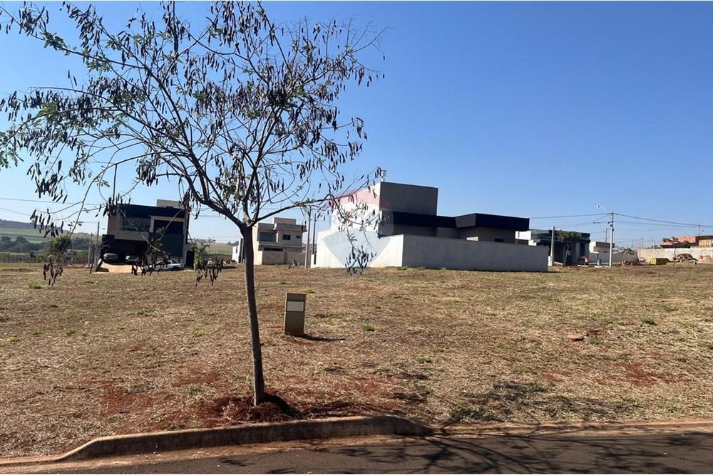 Terreno - Venda - Ribeirão Preto , São Paulo - WhatsApp Image 2025-09-15 at 11.07.46 (2).jpeg - 780251024-15