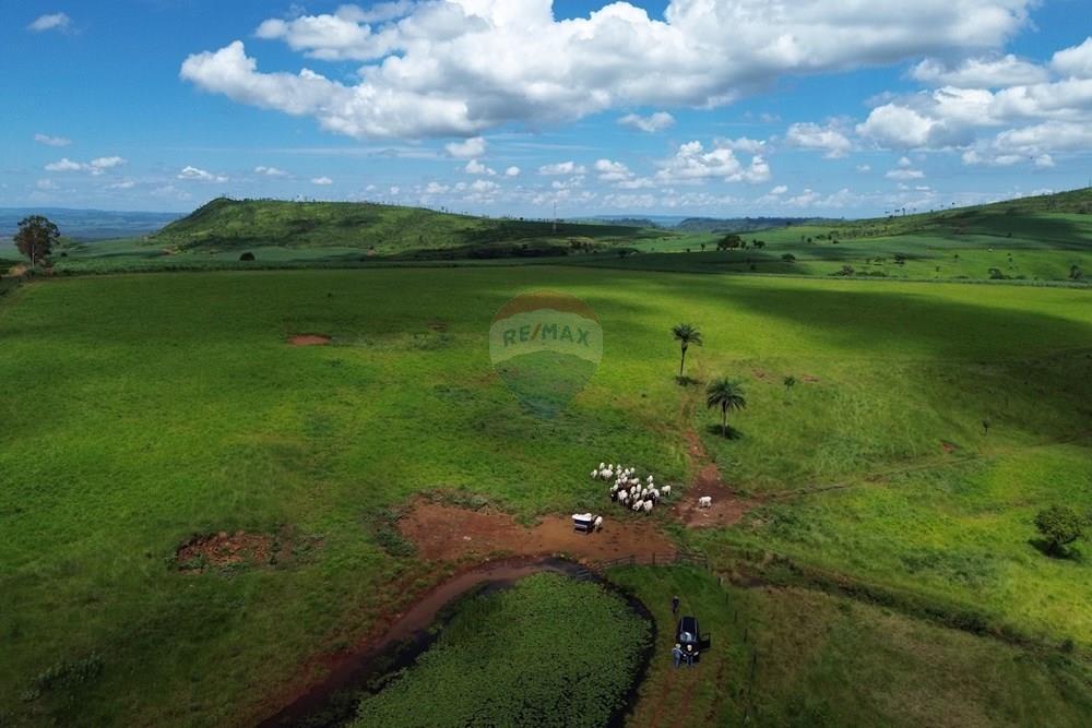 Fazenda - Venda - Cajuru , São Paulo - DJI_0031.JPG - 780171030-74