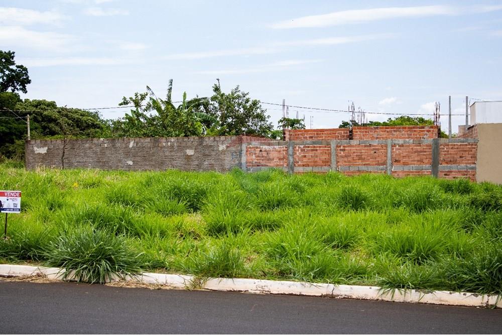 Terreno - Venda - São Joaquim da Barra , São Paulo - WhatsApp Image 2025-11-16 at 21.29.05.jpeg - 780301007-9