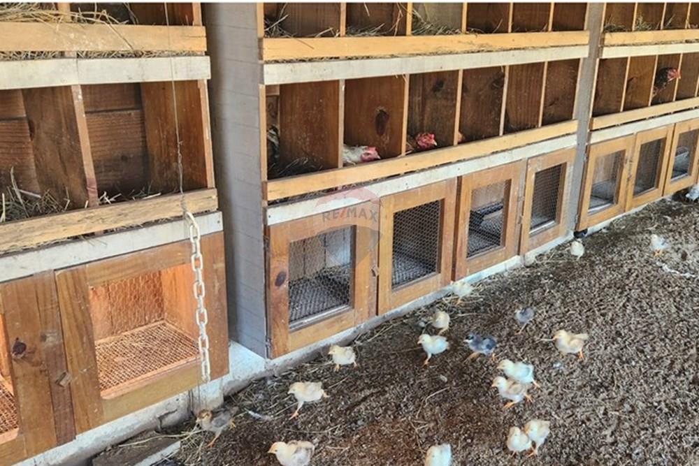 Chácara / Sítio / Fazenda - Venda - São Sebastião do Paraíso , Minas Gerais - 15.jpg - 780251022-11