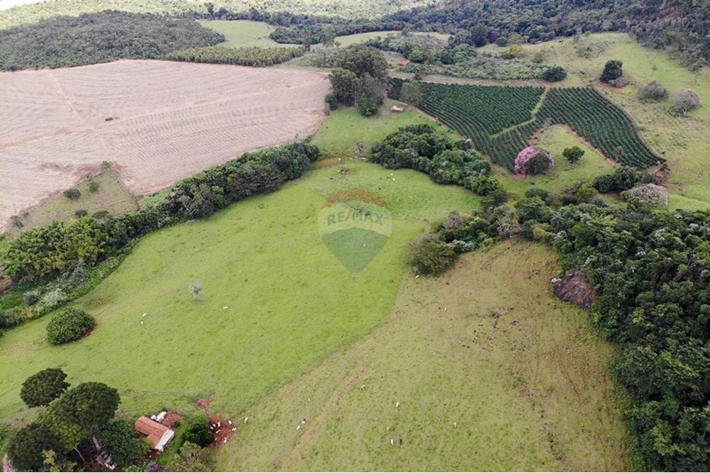 Chácara / Sítio / Fazenda - Venda - Cajuru , São Paulo - IMG_9476.JPG - 780241009-47