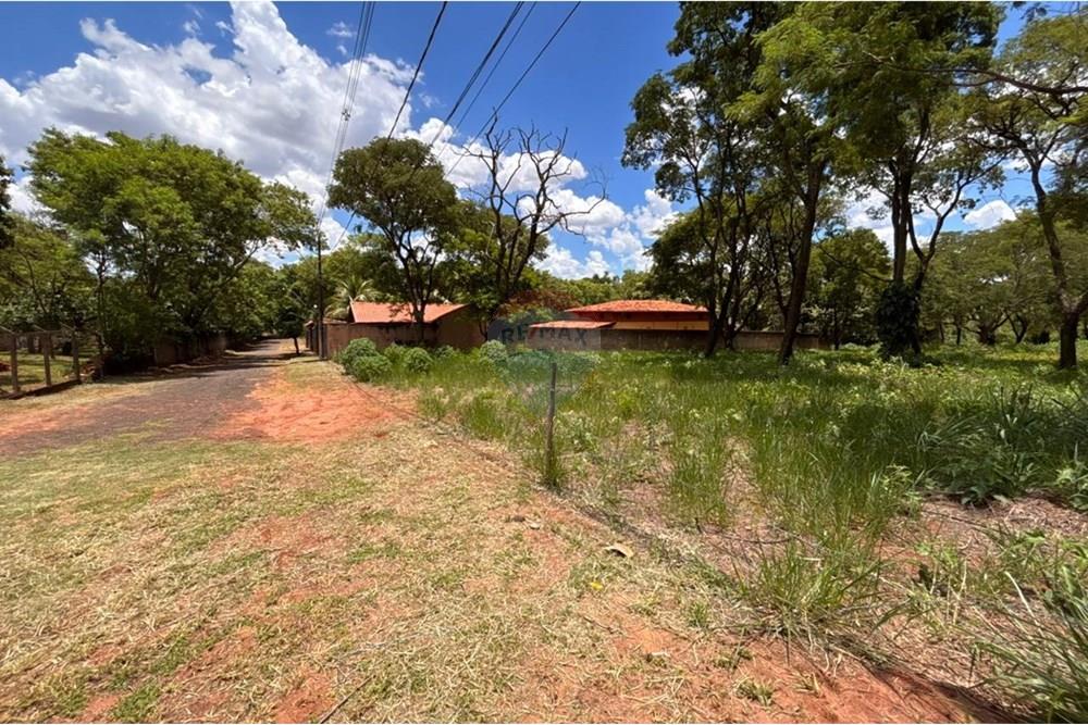 Terreno - Venda - Ribeirão Preto , São Paulo - 7.jpeg - 780121043-20