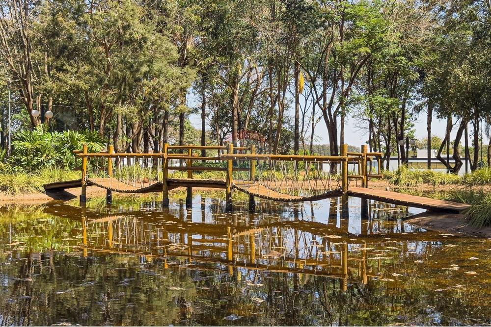 Terreno - Venda - Cravinhos , São Paulo - IMG_9062.jpg - 780201017-48