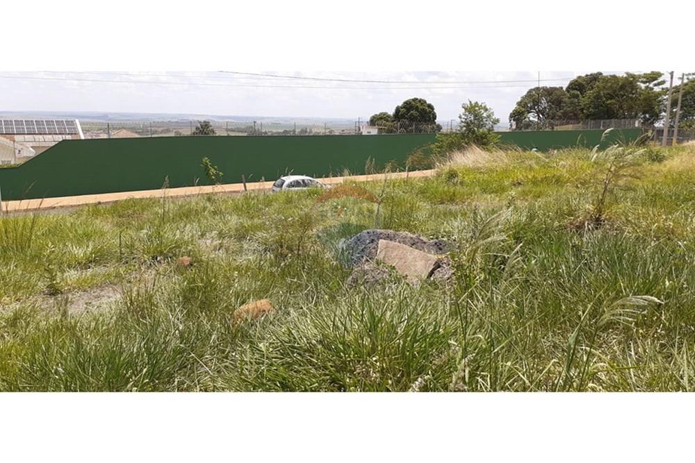 Terreno - Venda - São Joaquim da Barra , São Paulo - IMG-20251202-WA0150.jpg - 780301010-7