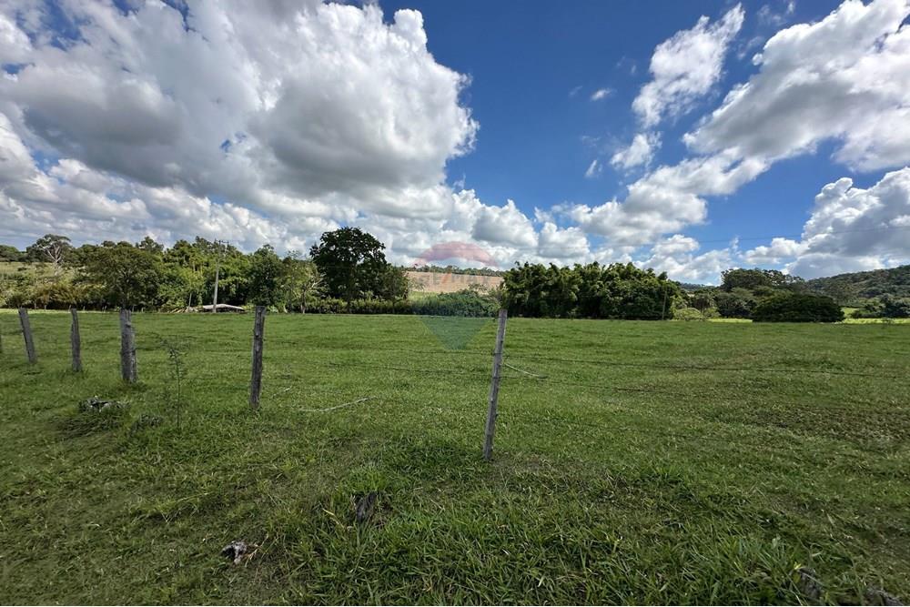 Chácara / Sítio / Fazenda - Venda - Cajuru , São Paulo - IMG_9455.jpg - 780241009-47