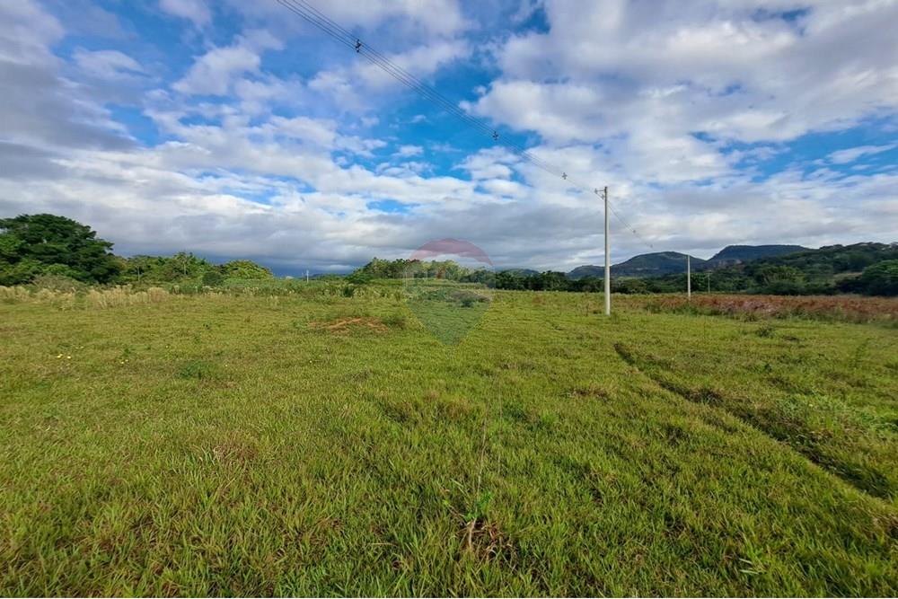 Chácara / Sítio / Fazenda - Venda - Cajuru , São Paulo - IMG-20250406-WA0143.jpg - 780171030-59