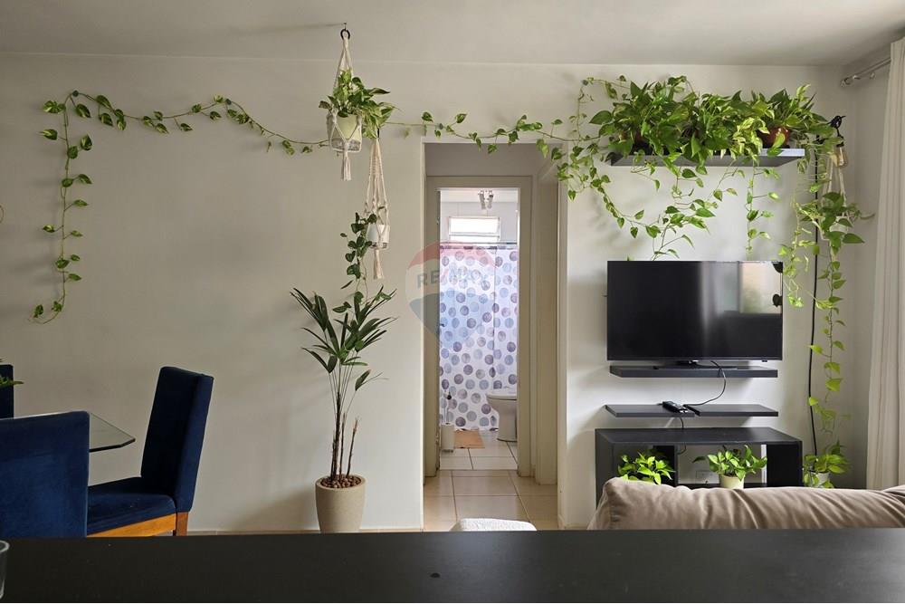 Apartamento - Venda - Ribeirão Preto , São Paulo - 20250104_112046.jpg - 780171048-79