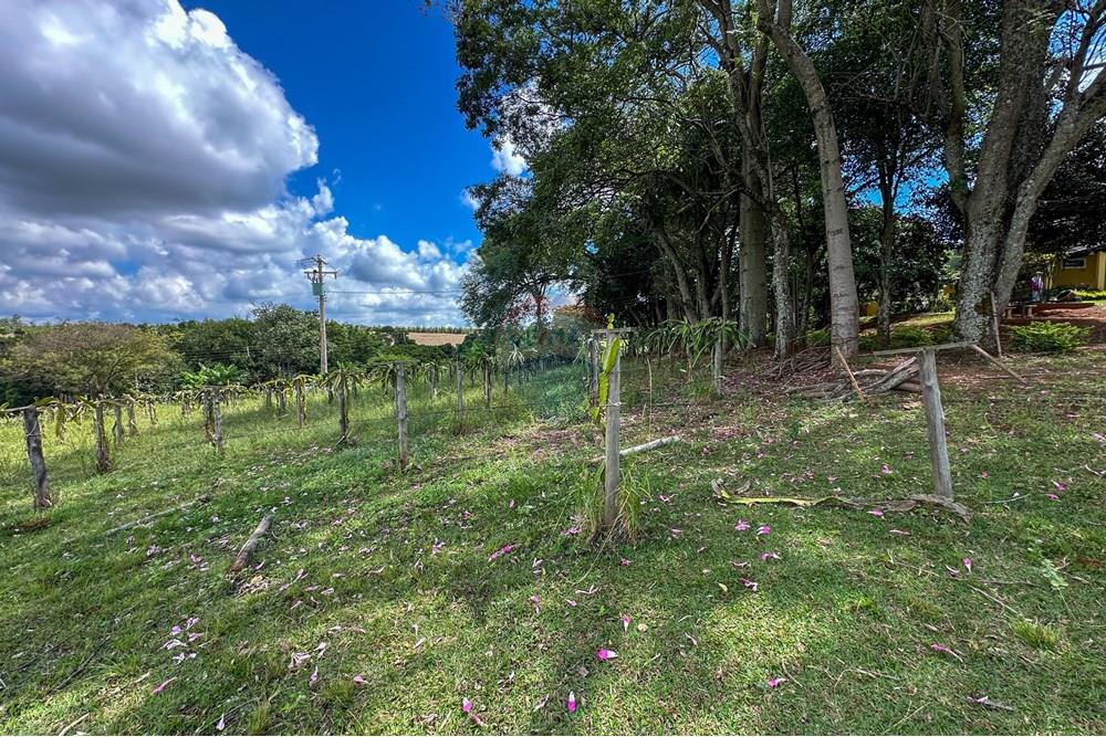 Chácara / Sítio / Fazenda - Venda - Cajuru , São Paulo - IMG_9447.jpg - 780241009-47