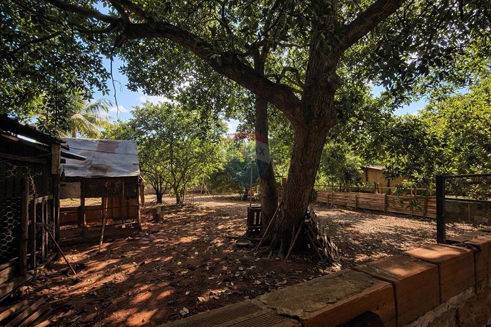 Chácara / Sítio / Fazenda - Venda - Sertãozinho , São Paulo - WhatsApp Image 2026-03-17 at 01.09.07 (1).jpeg - 780191016-54