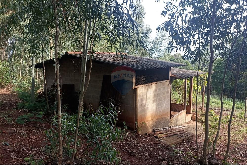 Fazenda - Venda - Cajuru , São Paulo - IMG_20241031_163256.jpg - 780271061-50