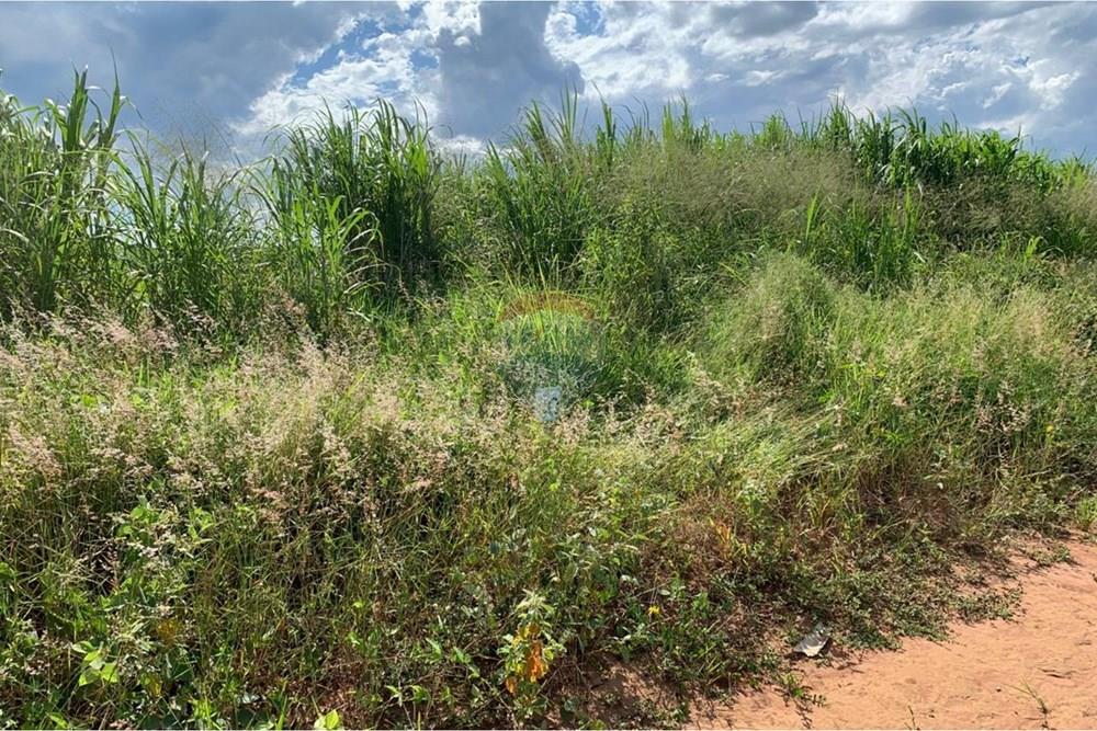 Terreno - Venda - Franca , São Paulo - WhatsApp Image 2026-03-16 at 14.56.41.jpeg - 780231106-4