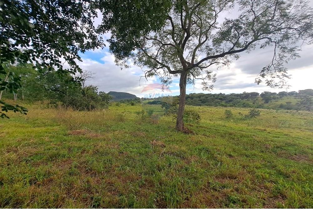 Fazenda - Venda - Cajuru , São Paulo - IMG-20250406-WA0110.jpg - 780171030-57