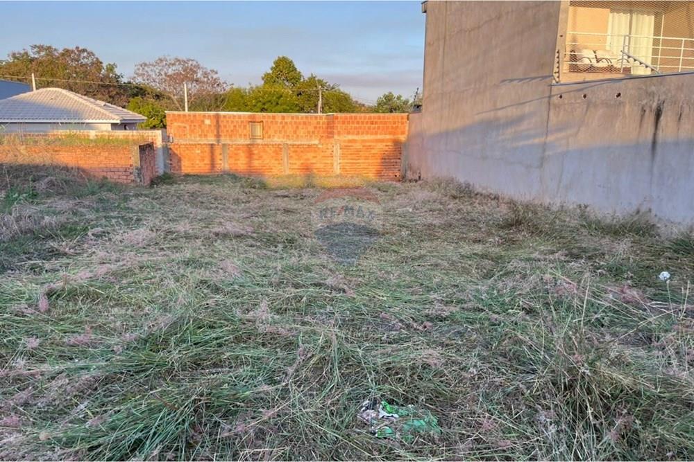 Terreno - Venda - Monte Alto , São Paulo - WhatsApp Image 2026-02-23 at 14.55.44.jpeg - 780271058-14