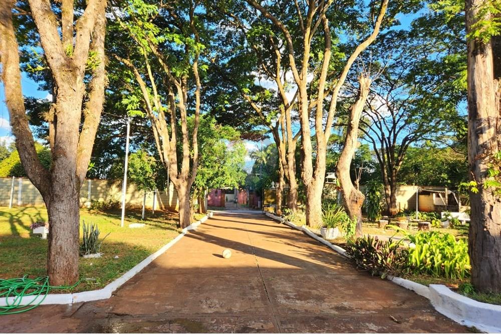 Chácara / Sítio / Fazenda - Venda - Ribeirão Preto , São Paulo - WhatsApp Image 2025-06-27 at 11.00.55 (2).jpeg - 780091032-138