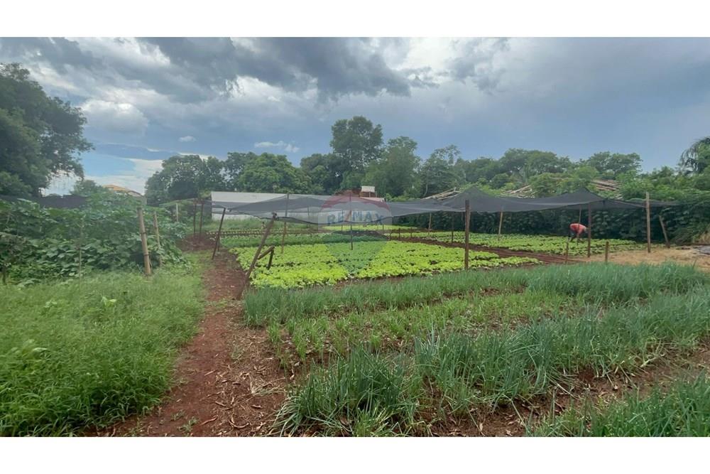 Terreno - Venda - Ribeirão Preto , São Paulo - della ricci 4.jpg - 780241010-16