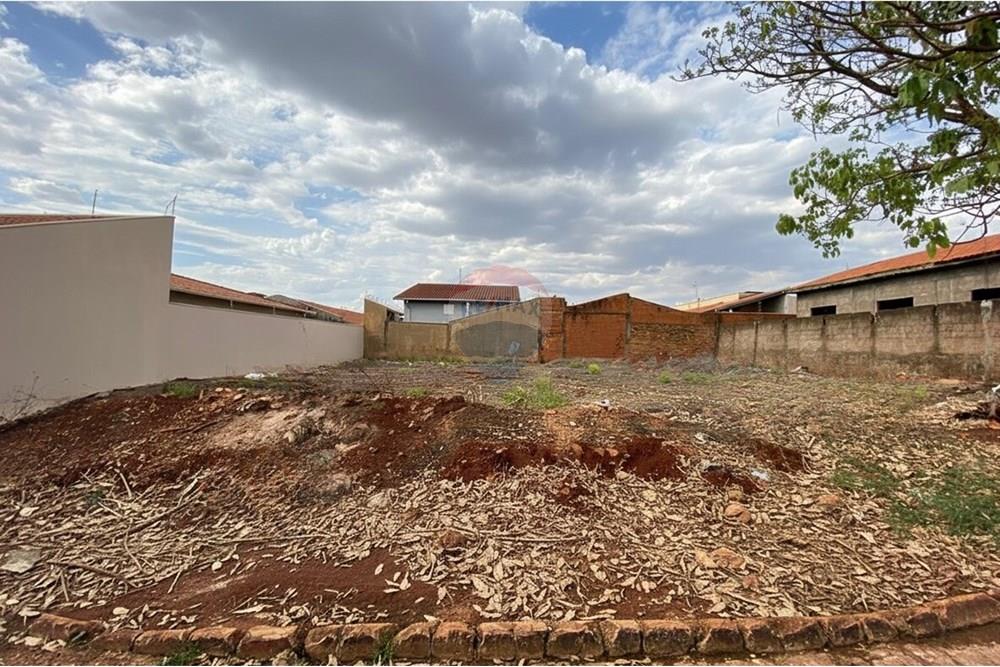 Terreno - Venda - São Joaquim da Barra , São Paulo - 21.jpg - 780301006-44