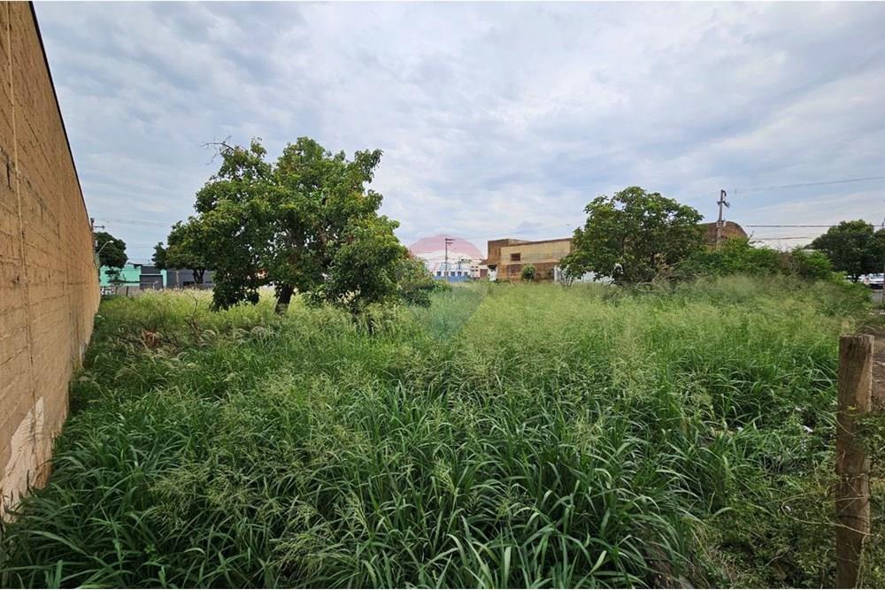 Terreno - Venda - Ribeirão Preto , São Paulo - photo_11_2025-12-10_12-58-19.jpg - 780271014-37
