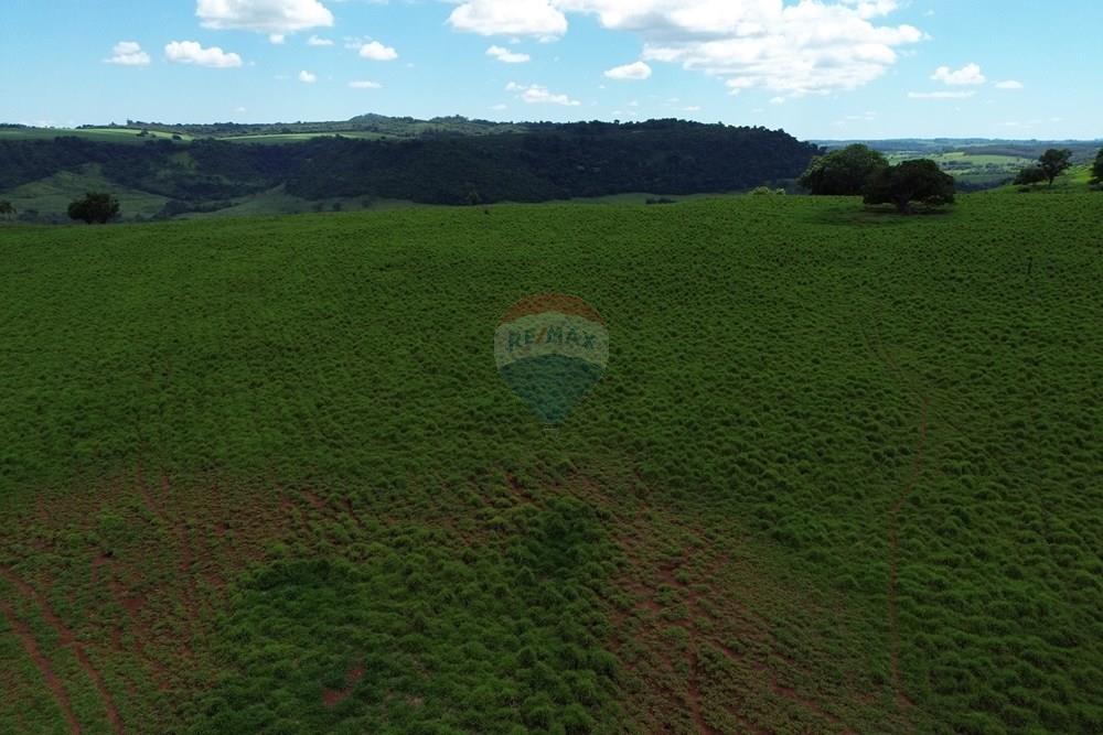 Fazenda - Venda - Cajuru , São Paulo - DJI_0037.JPG - 780171030-74