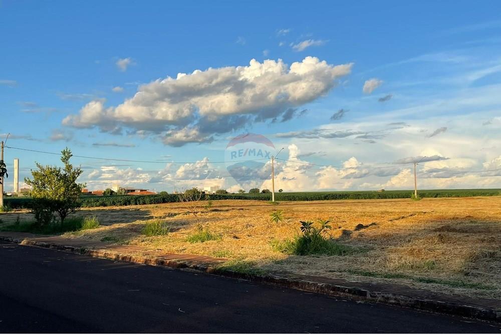 Terreno - Venda - São Joaquim da Barra , São Paulo - WhatsApp Image 2026-01-27 at 17.15.20 (1).jpeg - 780301001-31