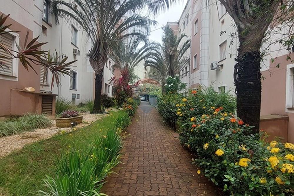 Apartamento - Venda - Ribeirão Preto , São Paulo - 20260224_101556.jpg - 780071076-24