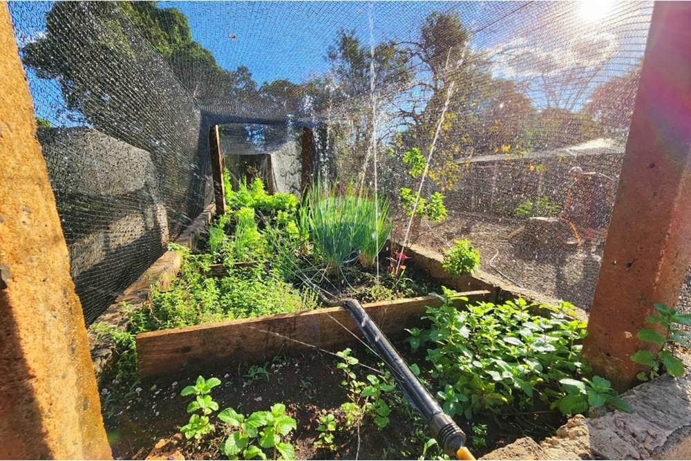 Chácara / Sítio / Fazenda - Venda - Ribeirão Preto , São Paulo - WhatsApp Image 2025-06-27 at 11.00.06.jpeg - Pátio interno - 780091032-138