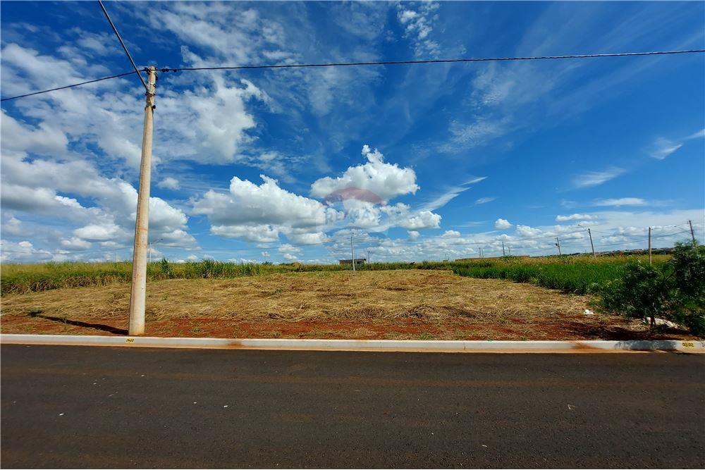 Terreno - Venda - Cravinhos , São Paulo - 9 - 780071037-60