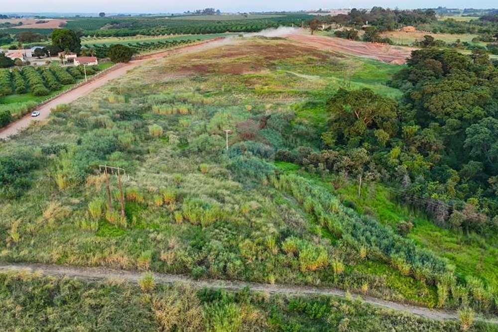 Chácara / Sítio / Fazenda - Venda - Monte Alto , São Paulo - foto 21.jpg - 780271059-44