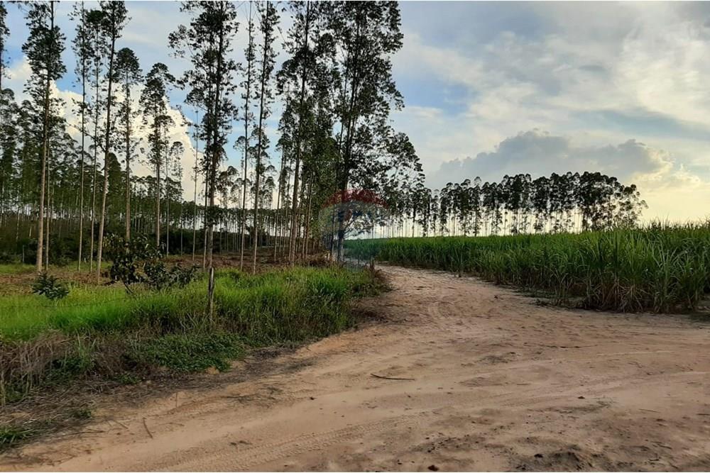 Terreno - Venda - Altinópolis , São Paulo - WhatsApp Image 2025-02-19 at 14.59.35.jpeg - Layout aberto - 780091026-186