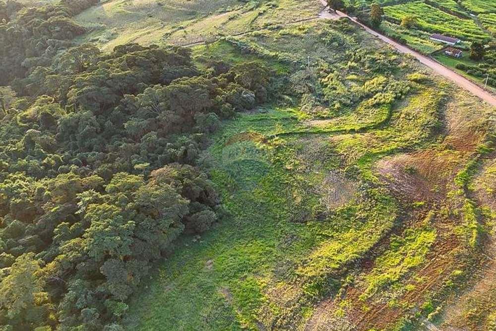 Chácara / Sítio / Fazenda - Venda - Monte Alto , São Paulo - foto 13.jpg - 780271059-44