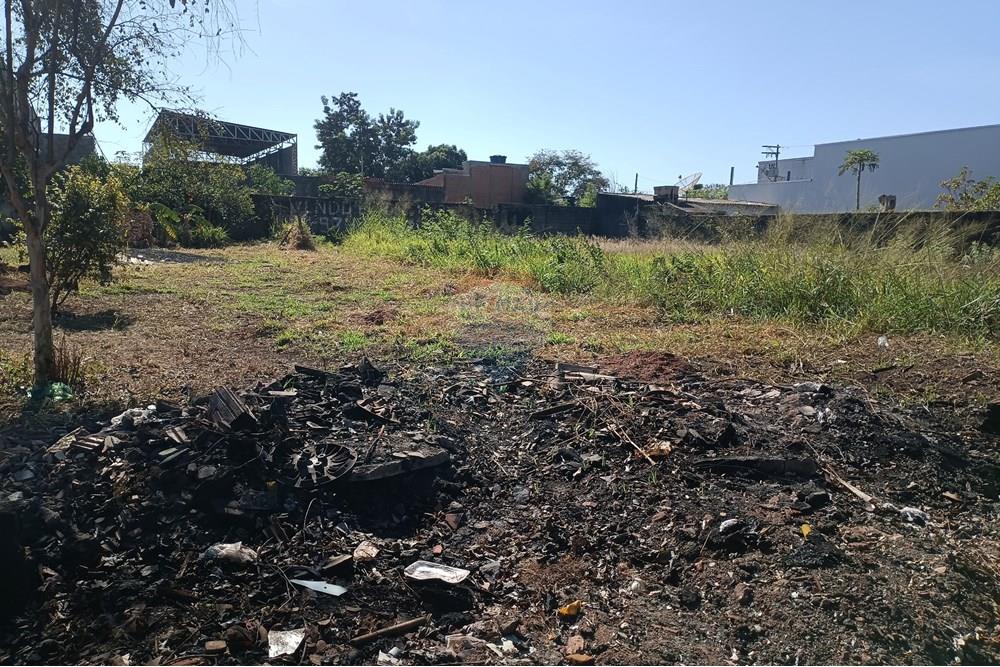 Terreno - Venda - Ribeirão Preto , São Paulo - IMG_20250626_104845.jpg - 780181007-772