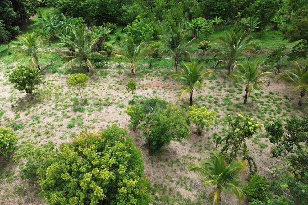 Chácara / Sítio / Fazenda - Venda - Santa Cruz da Esperança , São Paulo - DJI_0888.JPG - 780171030-73