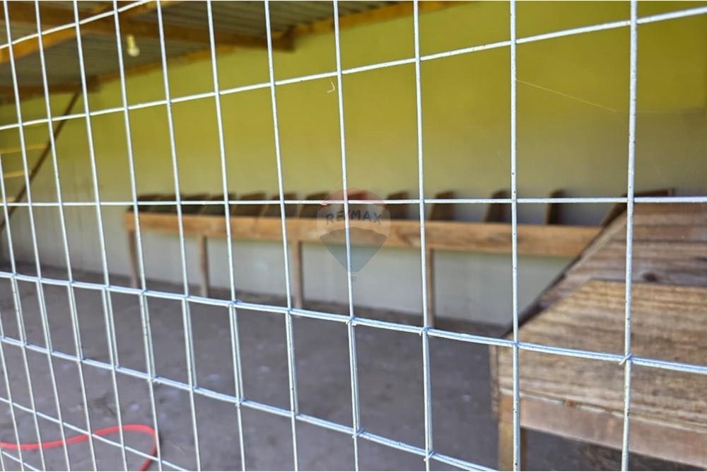 Chácara / Sítio / Fazenda - Venda - Santo Antônio da Alegria , São Paulo - IMG-20251121-WA0142.jpg - 780171030-68