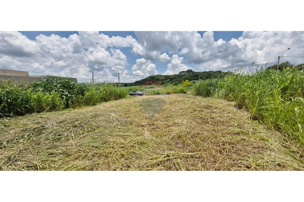 Terreno - Venda - Ribeirão Preto , São Paulo - WhatsApp Image 2025-01-13 at 18.45.44.jpeg - 780181011-259