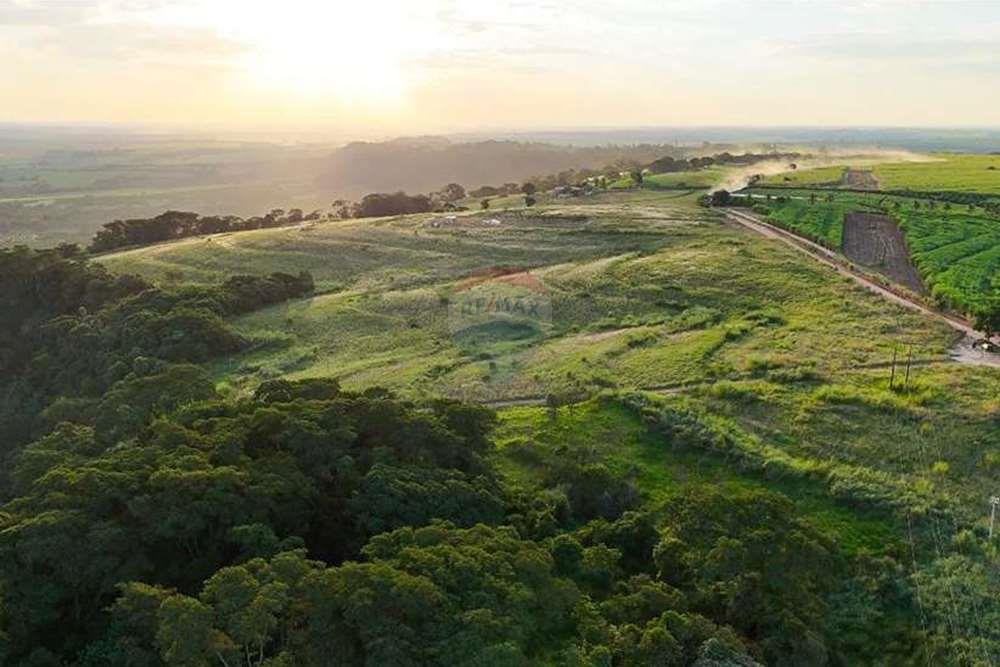 Chácara / Sítio / Fazenda - Venda - Monte Alto , São Paulo - foto 23.jpg - 780271059-44