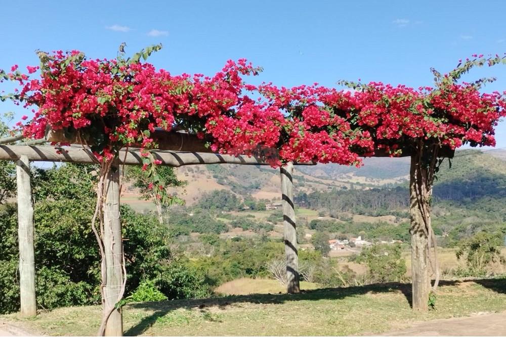 Chácara / Sítio / Fazenda - Venda - Pratápolis , Minas Gerais - WhatsApp Image 2025-08-07 at 20.51.07 (3).jpeg - 780191018-8
