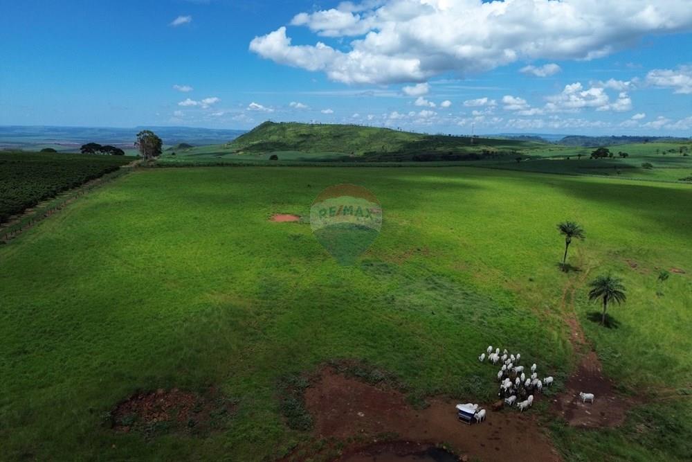 Fazenda - Venda - Cajuru , São Paulo - DJI_0033.JPG - 780171030-74