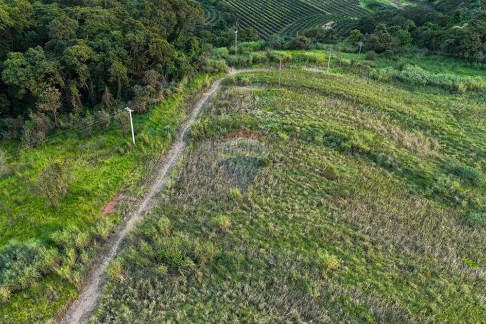 Chácara / Sítio / Fazenda - Venda - Monte Alto , São Paulo - foto 7.jpg - 780271059-44