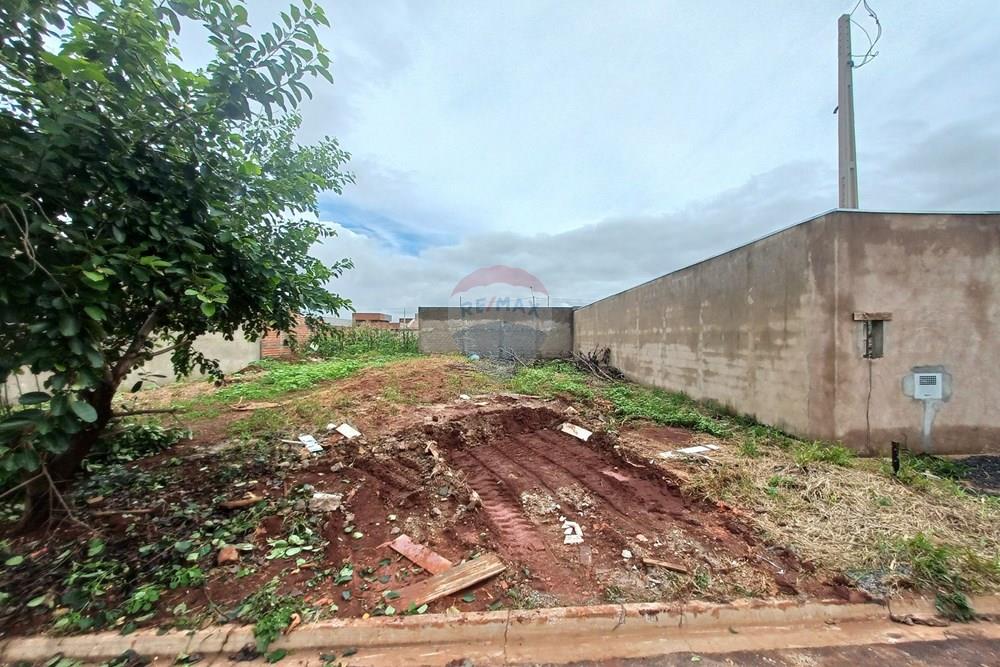 Terreno - Venda - Cravinhos , São Paulo - 20260225_114718.jpg - 780121006-94