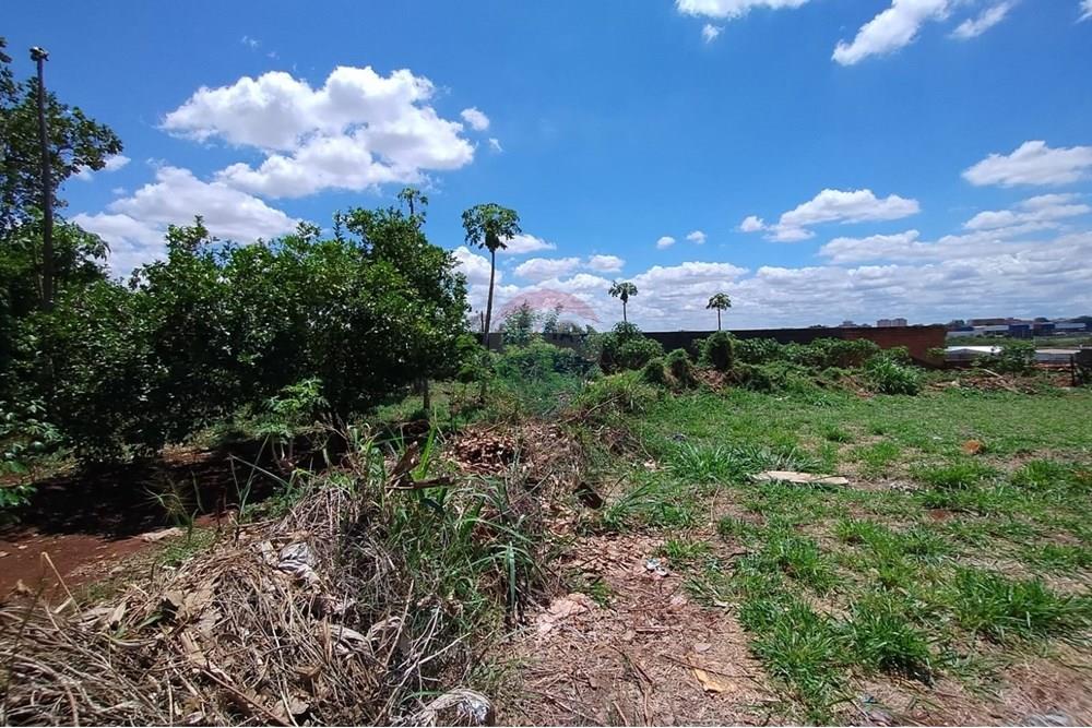 Terreno - Venda - Ribeirão Preto , São Paulo - WhatsApp Image 2025-11-04 at 14.10.29.jpeg - 780181003-72