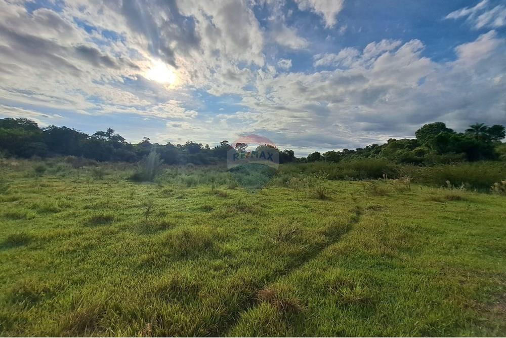 Chácara / Sítio / Fazenda - Venda - Cajuru , São Paulo - IMG-20250406-WA0141.jpg - 780171030-59