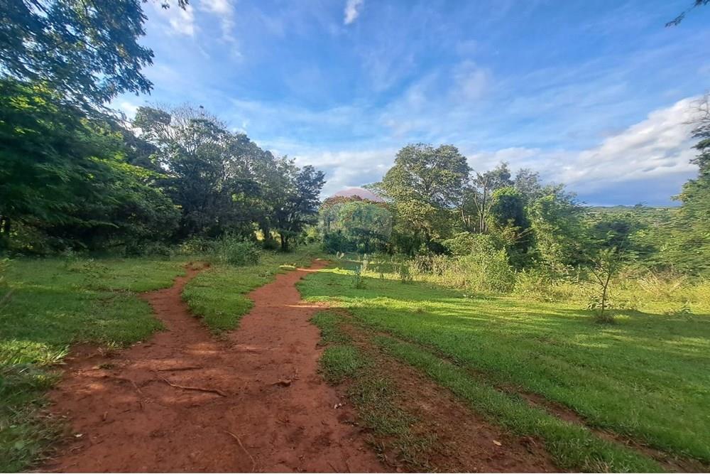 Fazenda - Venda - Cajuru , São Paulo - IMG-20250406-WA0193.jpg - 780171030-57