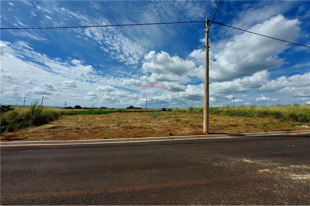 Terreno - Venda - Cravinhos , São Paulo - 4 - 780071037-60