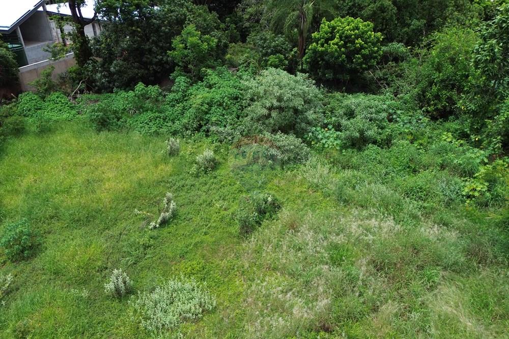 Terreno - Venda - Ribeirão Preto , São Paulo - DJI_0917.JPG - 780171030-72