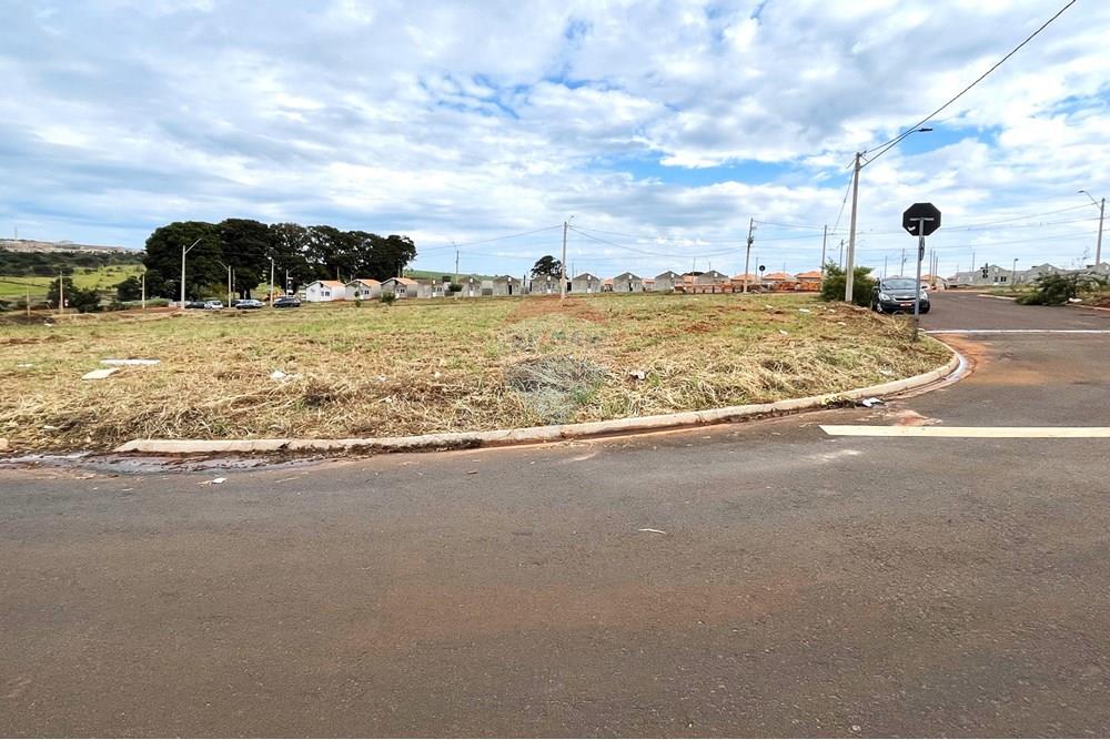 Terreno - Venda - Cravinhos , São Paulo - IMG_6636.jpg - 780171027-52