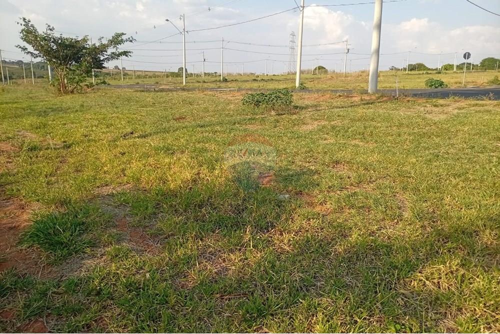 Terreno - Venda - Franca , São Paulo - Fotoa Terre no Pouso Alegre.jpg - 780231041-29