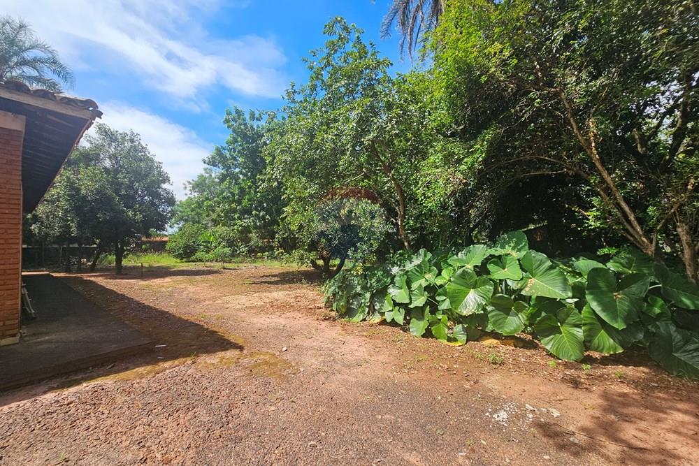 Chácara / Sítio / Fazenda - Venda - Ribeirão Preto , São Paulo - 20260322_110808.jpg - 780091010-72